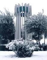 torreon